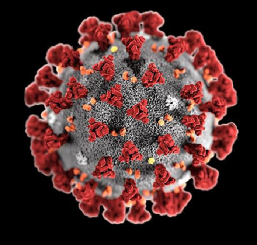 Covid-19 Fear and Anxiety