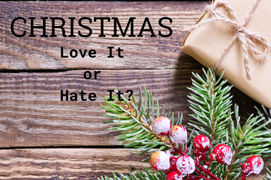 Christmas Love It or Hate It